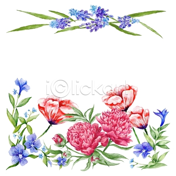 로맨틱 사람없음 JPG 포토 해외이미지 꽃 빨간색 수채화(물감) 여름(계절) 잎 파란색 프레임
