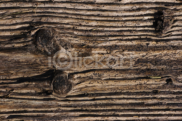 사람없음 JPG 포토 해외이미지 갈색 강 나무 낟알 날씨 내추럴 닫기 디자인 목재 묘사 물 백그라운드 선 수목 옛날 죽음 질감 추상 판넬 표면 해외202004