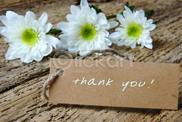 감사 사랑 사람없음 JPG 포토 해외이미지 갈색 꼬리표 꽃 레터링 백그라운드 사각형 프레임 해외202004