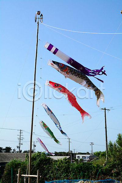 사람없음 JPG 포토 깃발 마츠리 물고기모양 야외 일본 일본문화 일본전통 전봇대(시설물) 주간 축제 풍경(경치) 하늘