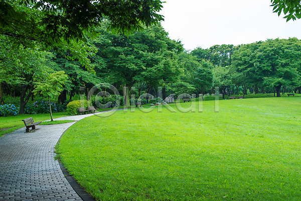 사람없음 JPG 포토 공원 나무 벤치 산책로 야외 일본 자연 잔디 주간 풍경(경치)