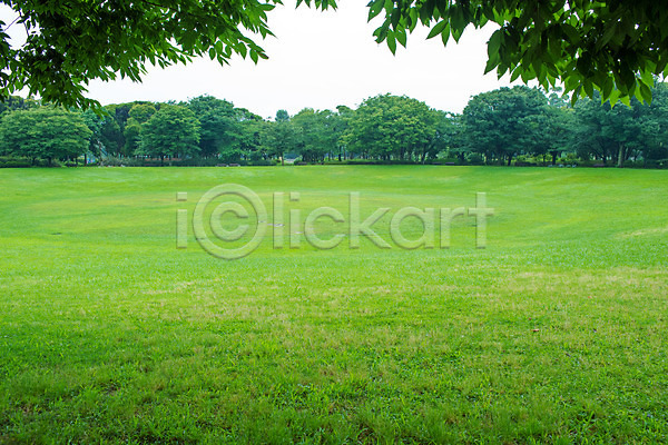 사람없음 JPG 포토 공원 나무 나뭇잎 야외 일본 자연 잔디 주간 풍경(경치)