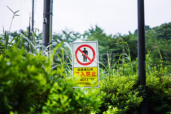 사람없음 JPG 아웃포커스 포토 거리풍경 도시풍경 숲 야외 일본 전봇대(시설물) 주간 출입금지 표지판 풀(식물) 풍경(경치)