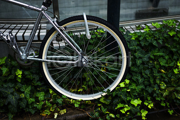 사람없음 JPG 포토 거리풍경 덩굴 도시 도시풍경 바퀴 비(날씨) 야외 일본 자전거 주간 주차 풍경(경치)