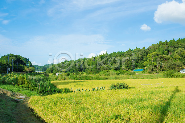 사람없음 JPG 포토 구름(자연) 나무 논 농경지 농촌 숲 야외 일본 자연 주간 초원(자연) 풍경(경치) 하늘