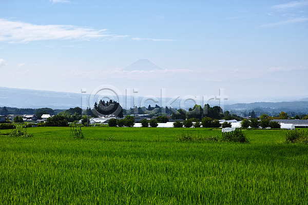 사람없음 JPG 포토 구름(자연) 나무 농경지 농촌 산 야외 일본 자연 주간 초원(자연) 풍경(경치) 하늘