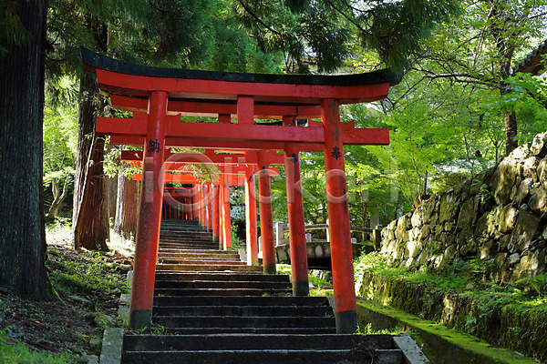 사람없음 JPG 포토 건축물 계단 고건축 나무 사찰 야외 오르막 일본 일본건축 일본문화 일본전통 주간 출입구 토리이