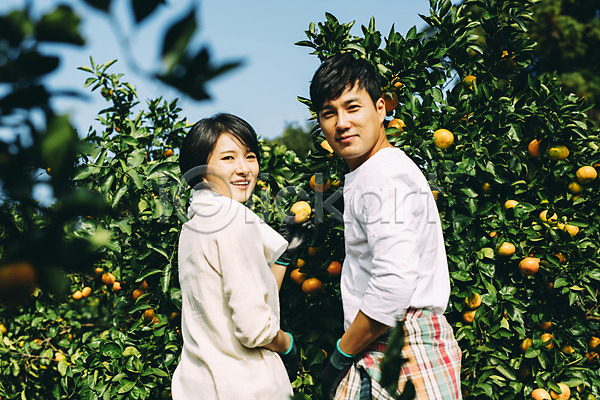 다정 30대 남자 두명 성인 성인만 여자 한국인 JPG 뒷모습 포토 귤 농장 뒤돌아보기 미소(표정) 부부 부부라이프 상반신 서기 수확 야외 제주도 주간