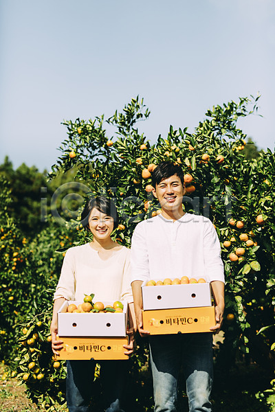 다정 30대 남자 두명 성인 성인만 여자 한국인 JPG 앞모습 포토 귤 농장 들기 미소(표정) 부부 부부라이프 상반신 상자 서기 야외 제주도 주간