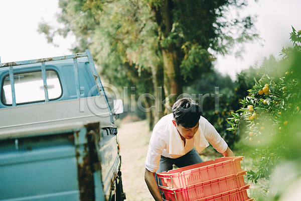 30대 남자 남자만 성인 성인남자만 한국인 한명 JPG 앞모습 포토 농장 상반신 상자 서기 야외 운반 제주도 주간 트럭