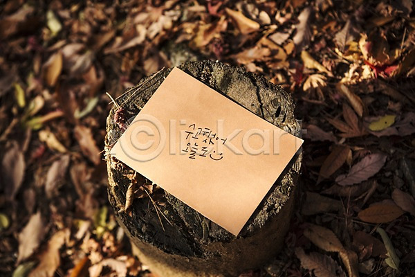 격려 사람없음 JPG 포토 가을(계절) 나무밑둥 낙엽 단풍 문자 백운호수 손글씨 야외 종이 주간 캘리그라피 한글