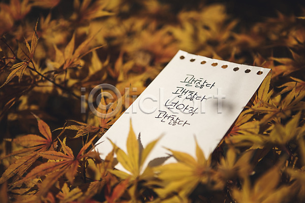 사람없음 JPG 포토 가을(계절) 괜찮아 낙엽 단풍 문자 백운호수 손글씨 야외 종이 주간 캘리그라피 한글