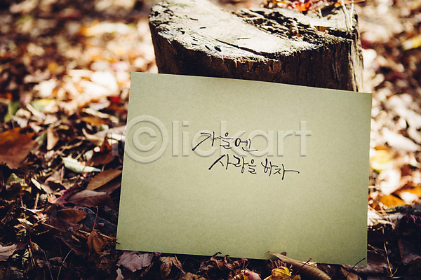 사랑 사람없음 JPG 포토 가을(계절) 나무밑둥 낙엽 문자 백운호수 손글씨 야외 종이 주간 캘리그라피 한글