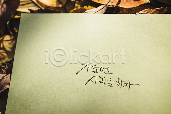 사랑 사람없음 JPG 포토 가을(계절) 낙엽 단풍 문자 백운호수 손글씨 야외 종이 주간 캘리그라피 한글