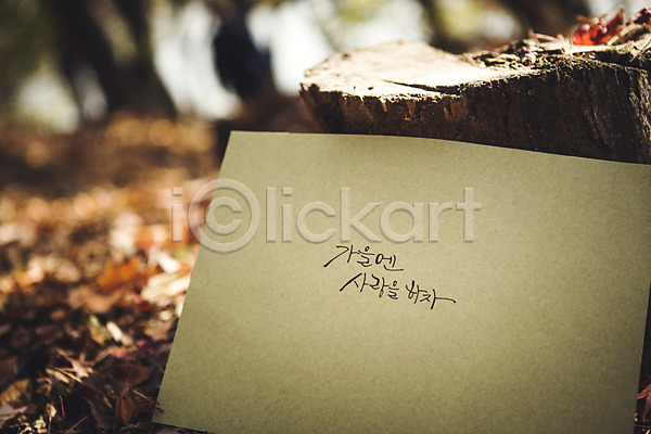 사랑 사람없음 JPG 아웃포커스 포토 가을(계절) 나무밑둥 낙엽 단풍 문자 백운호수 손글씨 야외 종이 주간 캘리그라피 한글