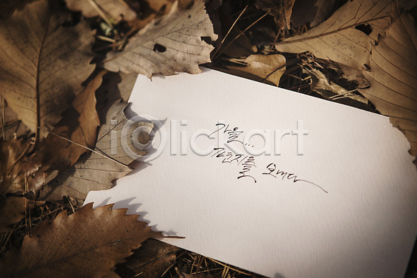 사람없음 JPG 포토 가을(계절) 낙엽 단풍 문자 백운호수 손글씨 야외 종이 주간 캘리그라피 한글