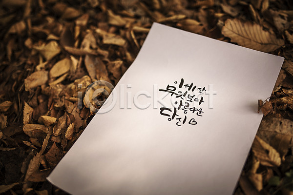 사람없음 JPG 포토 가을(계절) 계림 낙엽 문자 손글씨 야외 종이 주간 캘리그라피 한글
