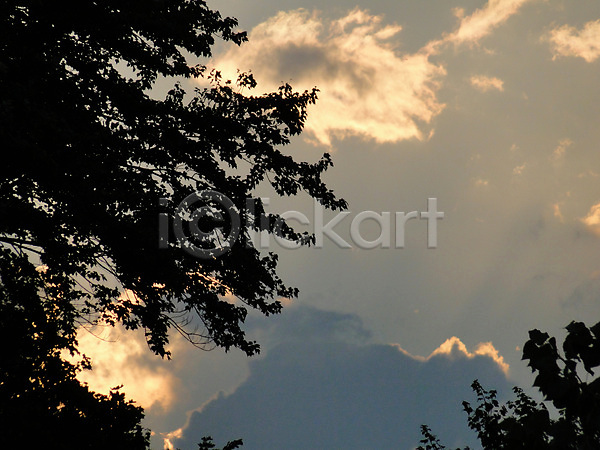 사람없음 JPG 실루엣 포토 해외이미지 구름(자연) 나무 내추럴 빛 야외 여름(계절) 일몰 자연 저녁 태양 풍경(경치) 하늘 해외202004 황혼