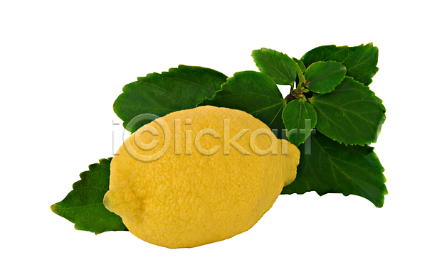 사람없음 JPG 포토 해외이미지 고립 귤 노란색 닫기 레몬 백그라운드 음식 잎 초록색 해외202004 흰색
