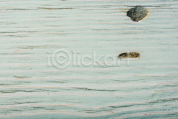 사람없음 JPG 근접촬영 포토 해외이미지 나무 목재 백그라운드 질감 카피스페이스 해외202004 흰색