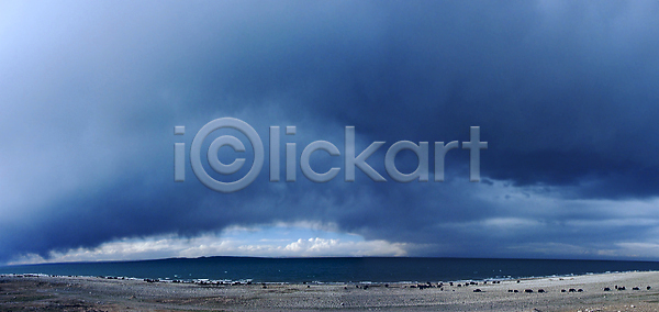 사람없음 JPG 포토 해외이미지 가축 구름 농업 소 양 여행 자연 중국 풍경 하늘 해외202004 해외포토 호수