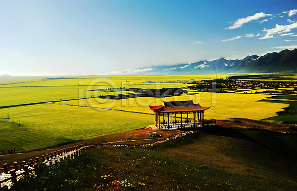 사람없음 JPG 포토 해외이미지 계곡 노란색 농업 농작물 밭 산 여름(계절) 자연 풍경(경치) 해외202004