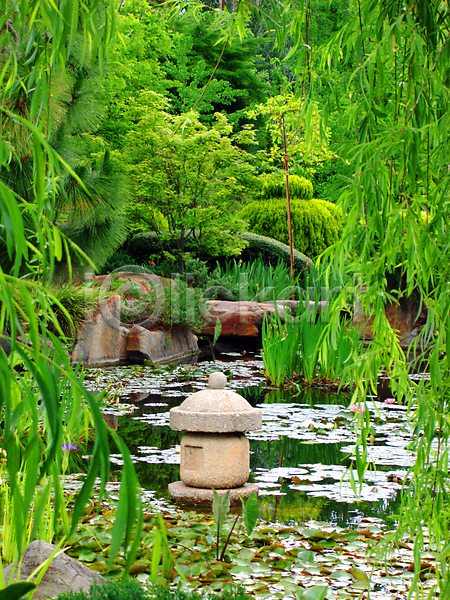 평화 휴식 사람없음 JPG 포토 해외이미지 그리너리 명상 물 바위 백합(꽃) 식물 암초 연못 일본 잎 정원 초록색 탑 해외202004