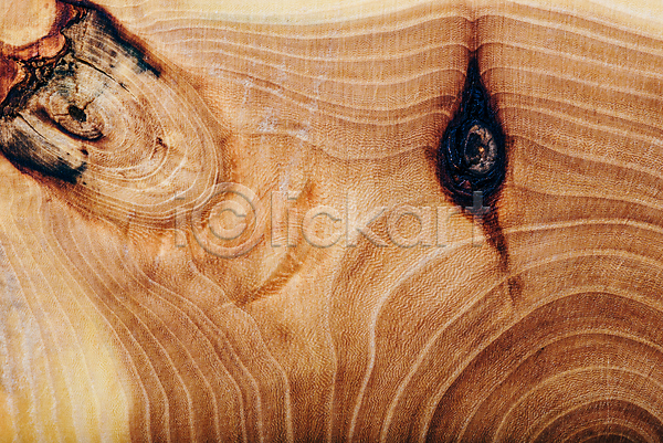 사람없음 JPG 근접촬영 포토 해외이미지 갈색 나무 나이테 목재 백그라운드 질감 카피스페이스 해외202004