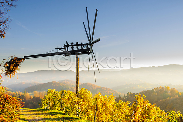 환경보전 사람없음 JPG 포토 해외이미지 가로 공장 구름(자연) 농업 목재 슬로베니아 야외 양조 일몰 전통 컬러풀 파란색 포도나무 포도밭 풍력에너지 하늘 한개 해외202004