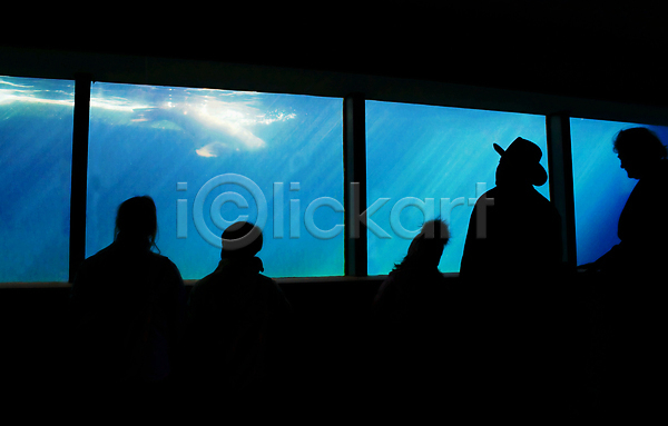 군중 사람 여러명 JPG 실루엣 포토 해외이미지 바다표범 수족관 수중 실내 아쿠아리움 파란색 한마리 해외202004