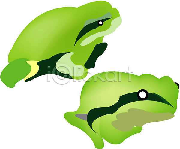 사람없음 EPS 아이콘 개구리 동물 두마리 봄 양서류 점프 짝짓기 척추동물 청개구리 클립아트