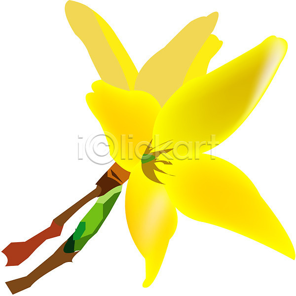 사람없음 EPS 아이콘 개나리 꽃 나뭇가지 노란색 봄 봄꽃 식물 자연 클립아트