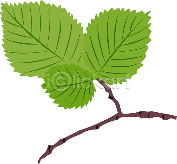 사람없음 EPS 아이콘 나뭇가지 나뭇잎 봄 새싹 식물 잎 줄기 클립아트