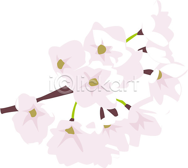 사람없음 EPS 아이콘 계절 꽃 꽃잎 나뭇가지 벚꽃 봄 식물 클립아트