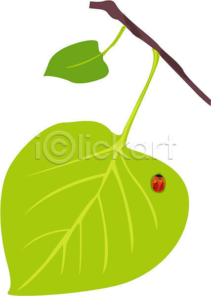 희망 사람없음 EPS 아이콘 곤충 나뭇잎 동물 무당벌레 봄 새싹 식물 잎 절지류 줄기 클립아트