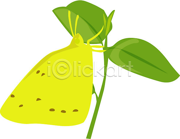 희망 사람없음 EPS 아이콘 곤충 나비 동물 봄 새싹 식물 잎 절지류 줄기 클립아트