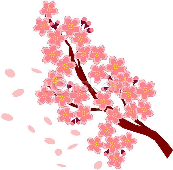 사람없음 EPS 일러스트 계절 꽃 꽃잎 나뭇가지 매화 봄 봄꽃 식물 잎 자연 줄기 클립아트 화초 흩날리기