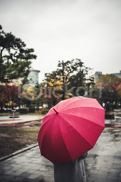 사람 성인 JPG 뒷모습 포토 가을(계절) 공원 나무 백그라운드 비(날씨) 야외 우산 주간 풍경(경치) 흐림