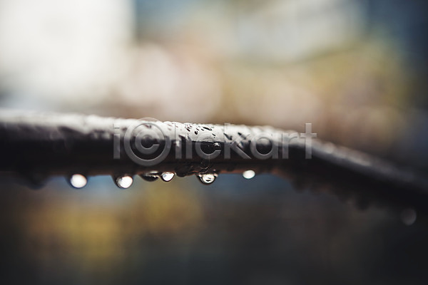 사람없음 JPG 아웃포커스 포토 가을(계절) 백그라운드 비(날씨) 빗방울 야외 울타리 주간 풍경(경치) 흐림