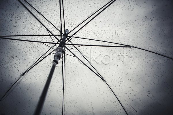 사람없음 JPG 로우앵글 포토 가을(계절) 백그라운드 비(날씨) 야외 우산 주간 풍경(경치) 흐림