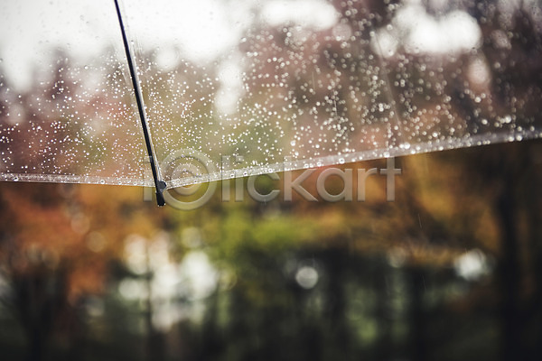 사람없음 JPG 아웃포커스 포토 가을(계절) 백그라운드 비(날씨) 야외 우산 주간 풍경(경치) 흐림
