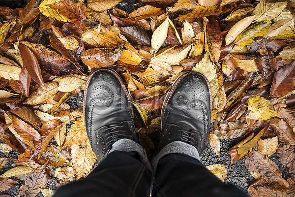 남자 성인 한명 JPG 포토 하이앵글 가을(계절) 낙엽 백그라운드 비(날씨) 신발 야외 주간 풍경(경치) 흐림