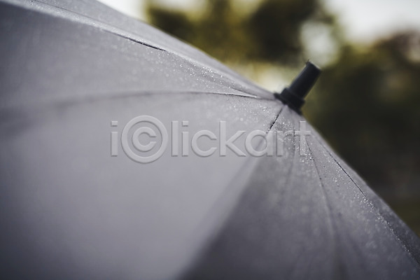 사람없음 JPG 근접촬영 포토 가을(계절) 백그라운드 비(날씨) 야외 우산 주간 풍경(경치) 흐림