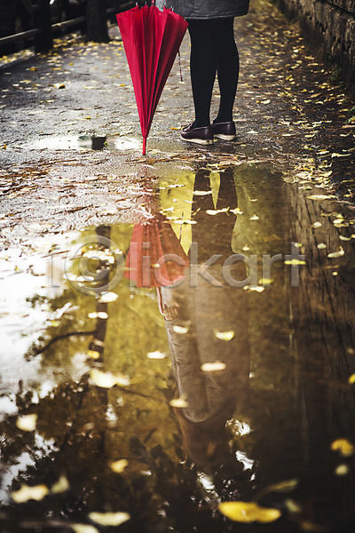 성인 여자 한명 JPG 포토 가을(계절) 거리 낙엽 물 반사 백그라운드 비(날씨) 야외 우산 주간 풍경(경치) 흐림