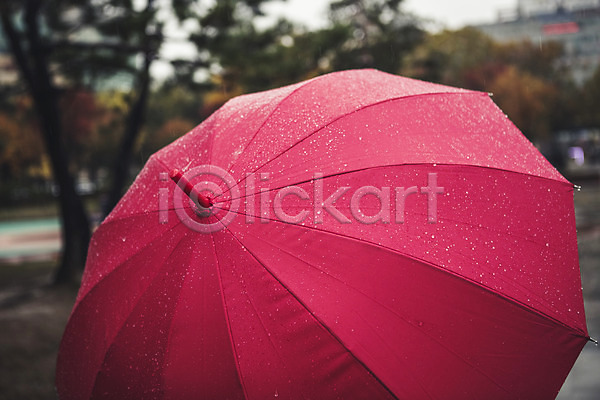 사람없음 JPG 아웃포커스 포토 가을(계절) 백그라운드 비(날씨) 야외 우산 주간 풍경(경치) 흐림