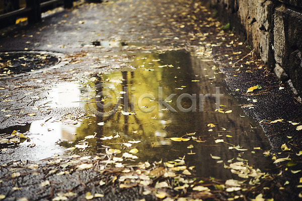사람없음 JPG 포토 가을(계절) 거리 낙엽 물 바닥 반사 백그라운드 비(날씨) 야외 주간 풍경(경치) 흐림