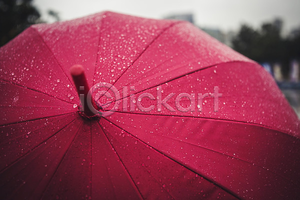 사람없음 JPG 근접촬영 포토 가을(계절) 백그라운드 비(날씨) 야외 우산 주간 풍경(경치) 흐림