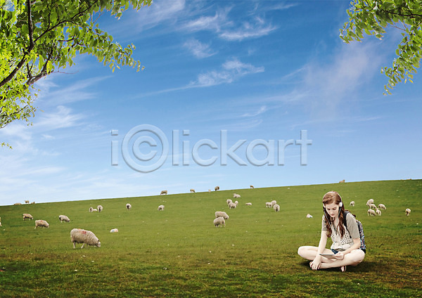 20대 백인 성인 성인여자한명만 여자 한명 PSD 편집이미지 가부좌 구름(자연) 방목 앉기 양 여러마리 음악감상 잔디 전신 초원(자연) 하늘