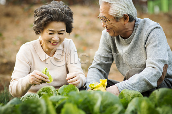다정 여유 60대 남자 노년 노인만 두명 여자 한국인 JPG 앞모습 포토 노부부 미소(표정) 배추 배추재배 상반신 실버라이프 앉기 야외 원예 주간 할머니 할아버지