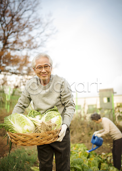 여유 즐거움 60대 남자 노년 노인만 두명 여자 한국인 JPG 아웃포커스 앞모습 옆모습 포토 노부부 들기 물뿌리개 미소(표정) 바구니 배추 배추재배 상반신 서기 실버라이프 야외 원예 주간 할머니 할아버지